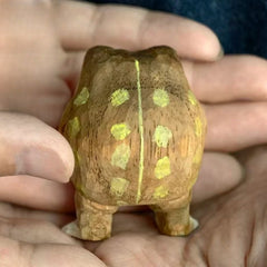 Rain frog figurine back with yellow spots